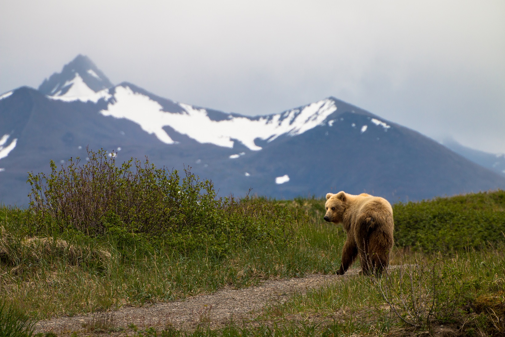 ARCTEC Alaska - Picture Gallery